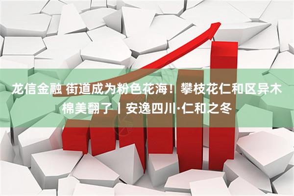 龙信金融 街道成为粉色花海！攀枝花仁和区异木棉美翻了丨安逸四川·仁和之冬
