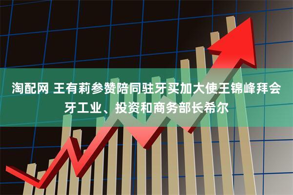 淘配网 王有莉参赞陪同驻牙买加大使王锦峰拜会牙工业、投资和商务部长希尔